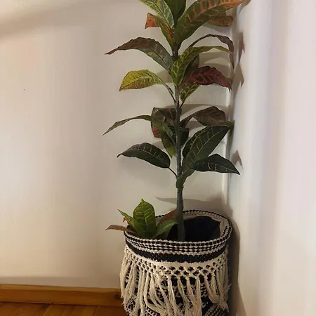 Mersea Deluxe Kourouta